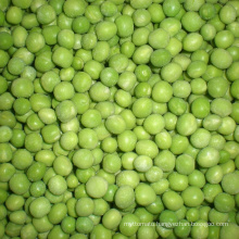 Frozen green peas brands variety A grade typical green bulk package